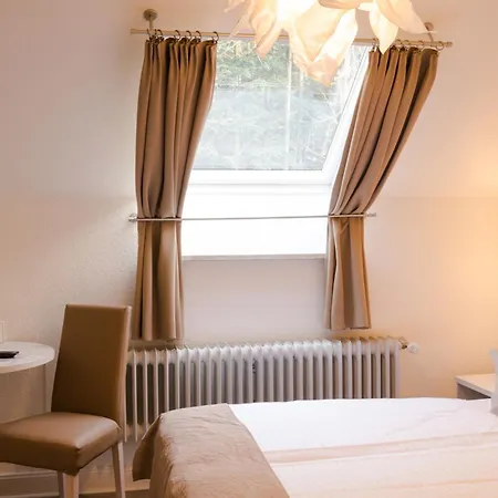 Luise Hotel 3*