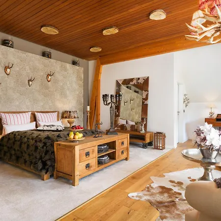 路易斯酒店 酒店