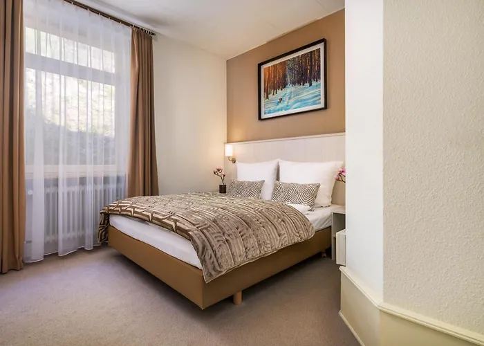 Luise 4* Bad Bergzabern